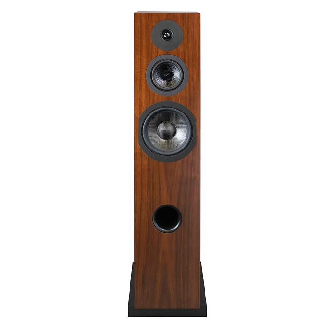 Напольная акустика Davis Acoustics Courbet N 8 Walnut - рис.2