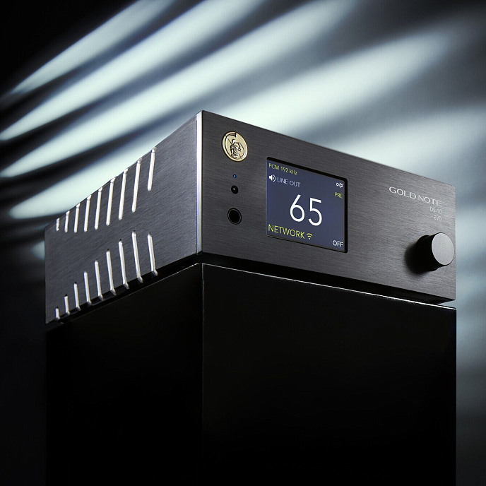 Сетевой аудиоплеер Gold Note DS-10 Evo Line Black - рис.2