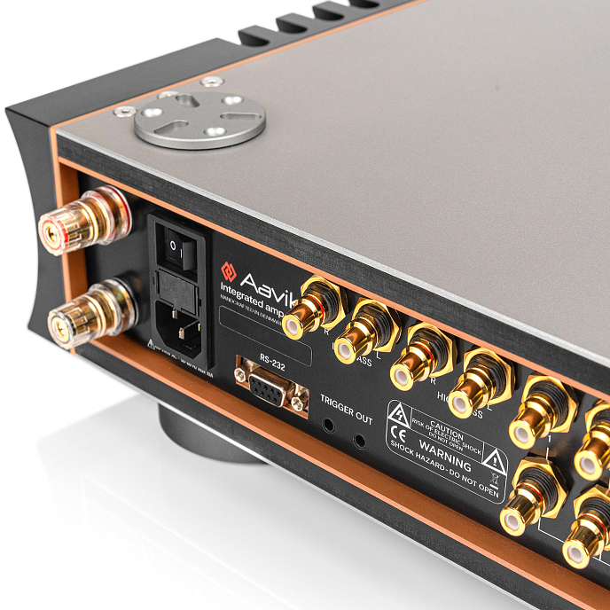 Интегральный усилитель Aavik I-588 - рис.3