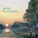 Виниловая пластинка Brian Flanagan - Where Dreams Are Made LP - рис.0