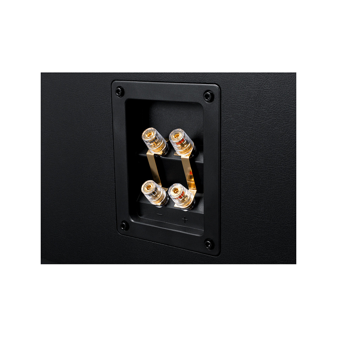 Центральный канал Emotiva Airmotiv C1 Plus - рис.6