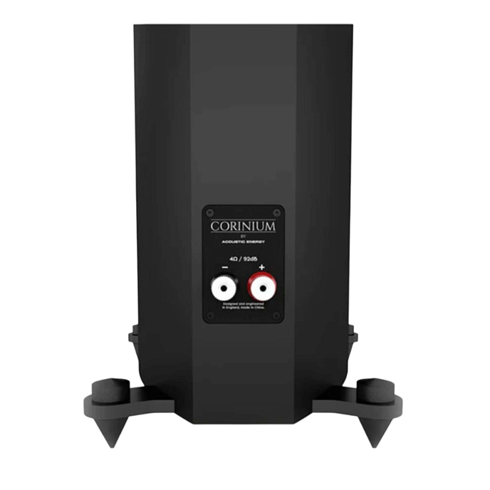 Напольная акустика Acoustic Energy Corinium Matte Black - рис.6
