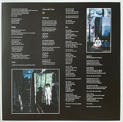 Пластинка Martina Topley-Bird – Quixotic - 2LP