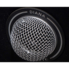Полочная акустика Gold Note Diana l Black Silver