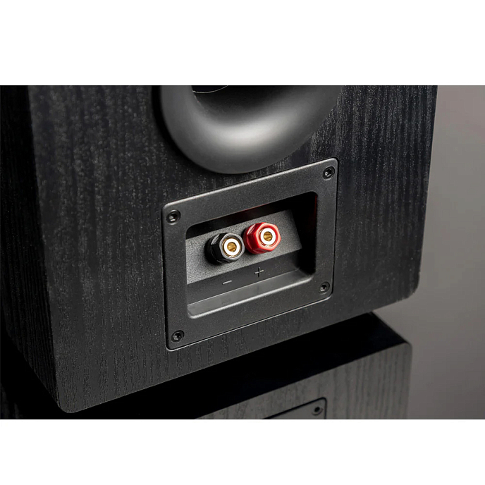 Напольная акустика SVS Prime Pinnacle Piano Gloss Black - рис.2