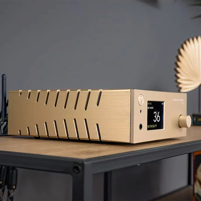 Интегральный усилитель Gold Note IS-10 Gold - рис.6
