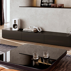 Полочная акустика Piega Premium 301 Gen2 Black