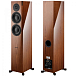 Напольная акустика Dynaudio Focus 30 XD Highgloss Walnut - рис.0