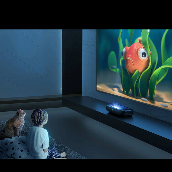 Телевизор Hisense 120L9H - рис.13