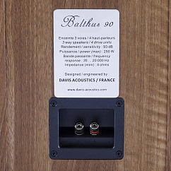 Напольная акустика Davis Acoustics Balthus 90 Walnut