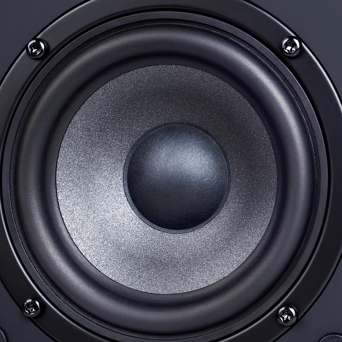 Полочная акустика Radiotehnika S-10NA Black Ash - рис.14