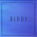 Виниловая пластинка Birdy - Lost It All - рис.0