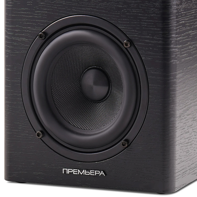 Полочная акустика Premiera ES-401A Black - рис.5