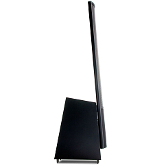 Напольная акустика Martin Logan ElectroMotion ESL X Black