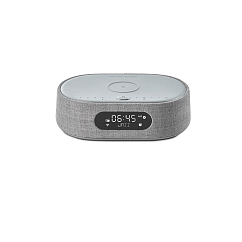 Портативная колонка Harman Kardon Citation Oasis Grey