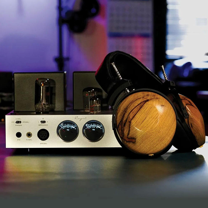 Усилитель для наушников Cayin HA-2A Silver - рис.6