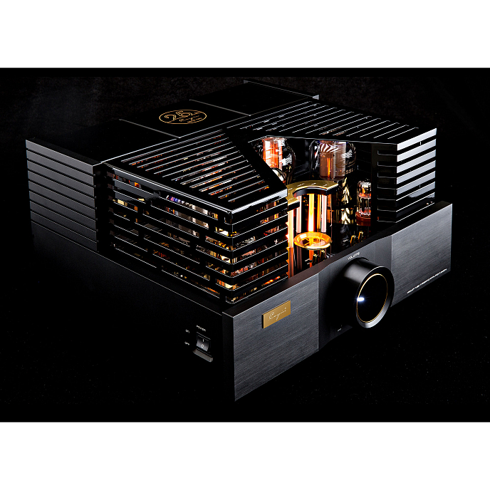 Интегральный усилитель Cayin A-845PRO - рис.6