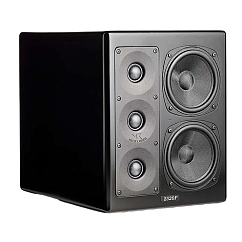 Студийный монитор M&K Sound MPS2520Р Right / Center