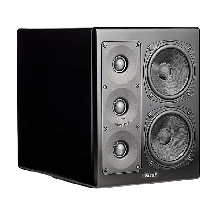 Студийный монитор M&K Sound MPS2520Р Right / Center - рис.1