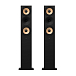 Напольная акустика Amphion Krypton3 Black - рис.0