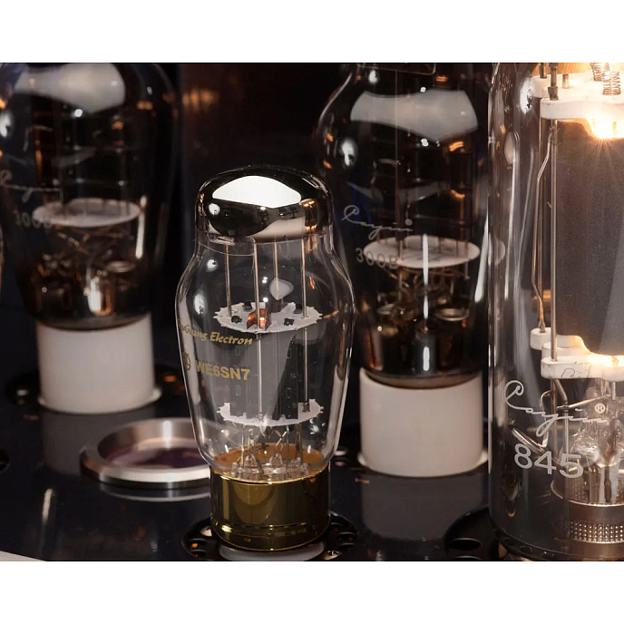 Интегральный усилитель Cayin CS-845A Black - рис.4