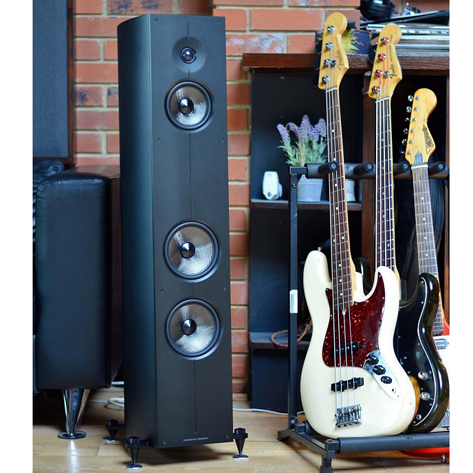 Напольная акустика Acoustic Energy Corinium Matte Black - рис.7