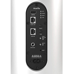 Напольная акустика Piega Ace 50 Wireless RX White