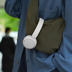 Беспроводные наушники Sony WH-CH530 White
