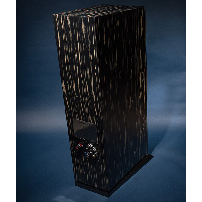 Напольная акустика Davis Acoustics MV One Master Ebony - рис.8