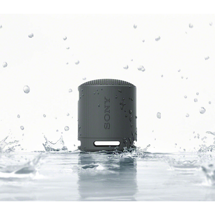Беспроводная акустика Sony SRS-XB100 Black - рис.7