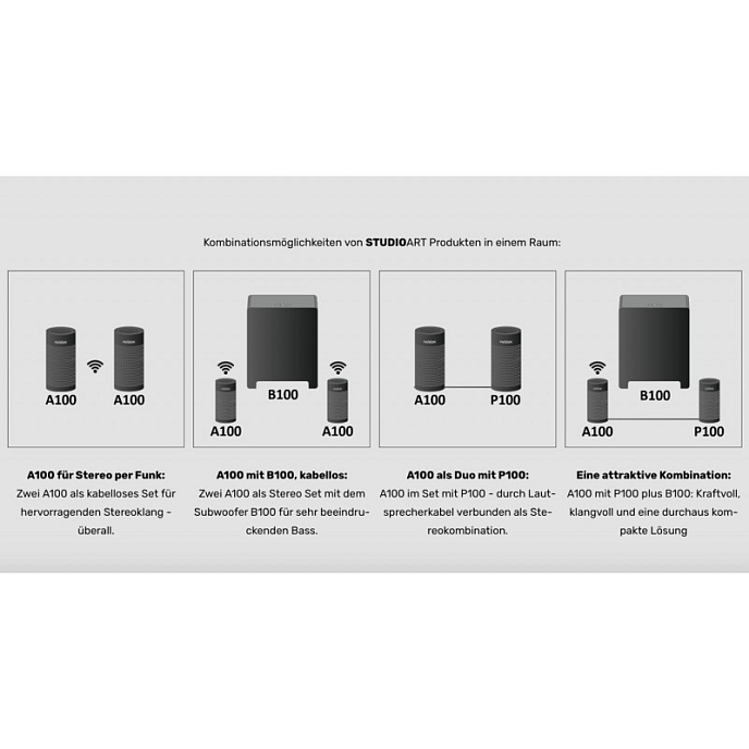 Сабвуфер Revox B100 Bass Module Black - рис.3