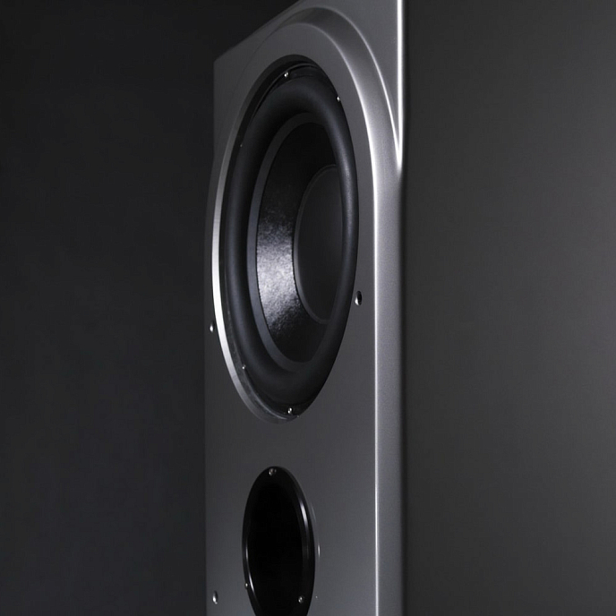 Сабвуфер Wilson Audio Thor Hammer Subwoofer Carbon - рис.2