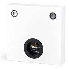 Настенная акустика Radiotehnika Vita 2.01 White Ash