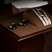 Наушники внутриканальные Effect Audio Grand Maestro Anniversary Founders’ Edition Champagne Gold - рис.7