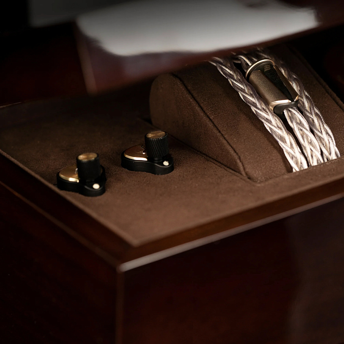 Наушники внутриканальные Effect Audio Grand Maestro Anniversary Founders’ Edition Champagne Gold - рис.7