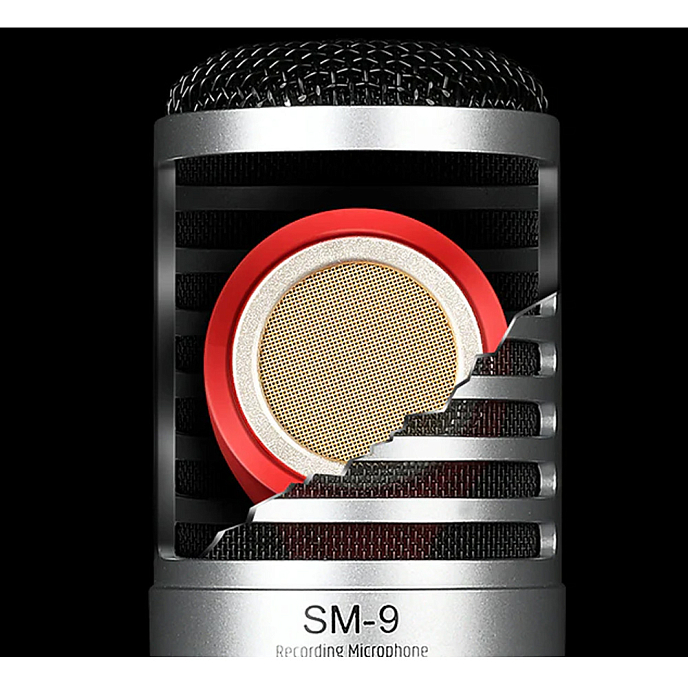 Микрофон студийный TAKSTAR SM-9 Blue Silver - рис.6