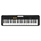 Casio CT-S100 Black