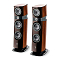 Focal Sopra N3 Dark Oak