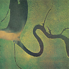 Пластинка Dead Can Dance - The Serpent's Egg