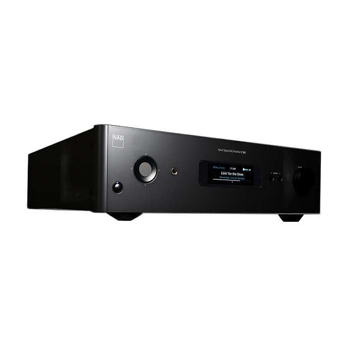 Интегральный усилитель NAD C389 Black - рис.1