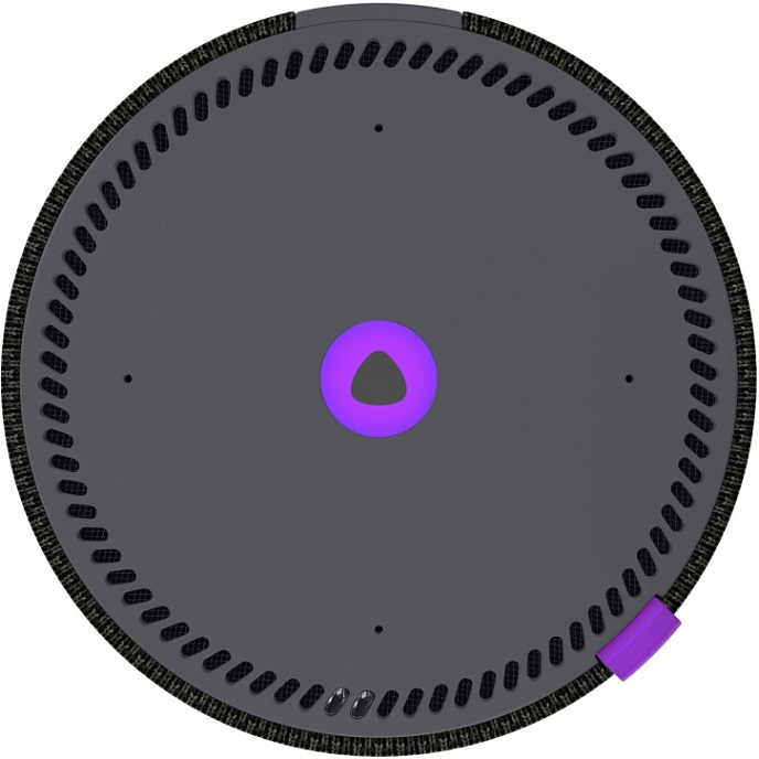 Портативная колонка Яндекс Станция Мини Black - рис.5