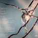 Виниловая пластинка Richard Hawley - Hollow Meadows - рис.3