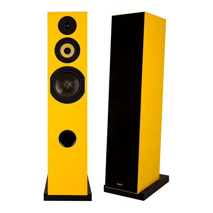 Напольная акустика Davis Acoustics Courbet N 8 Yellow - рис.3