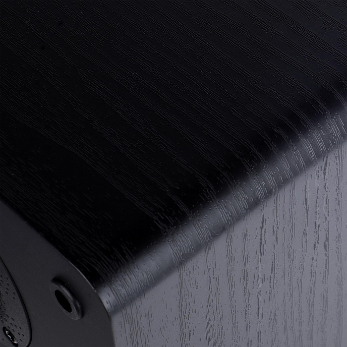 Полочная акустика Radiotehnika S-10NA Black Ash - рис.17