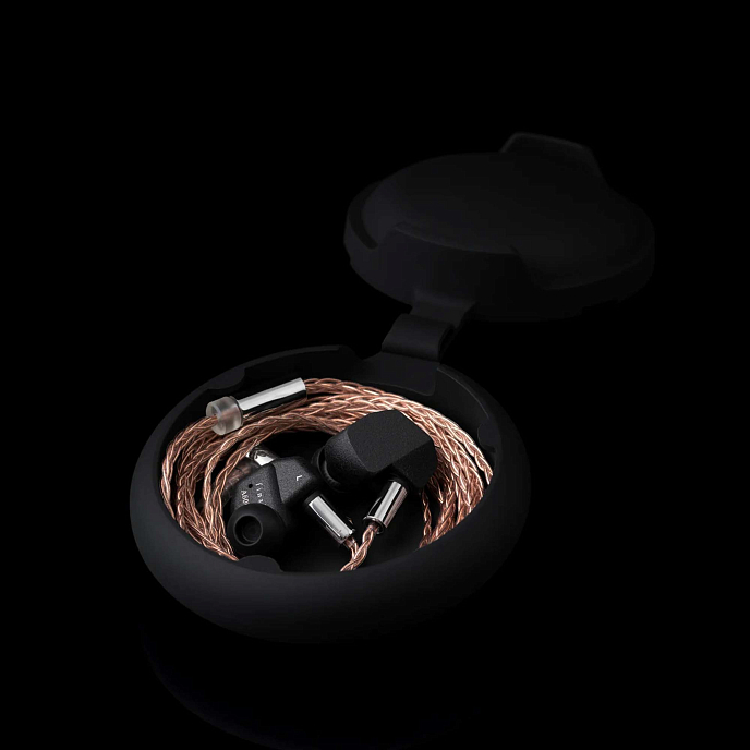 Наушники внутриканальные Final Audio A6000 Black - рис.9