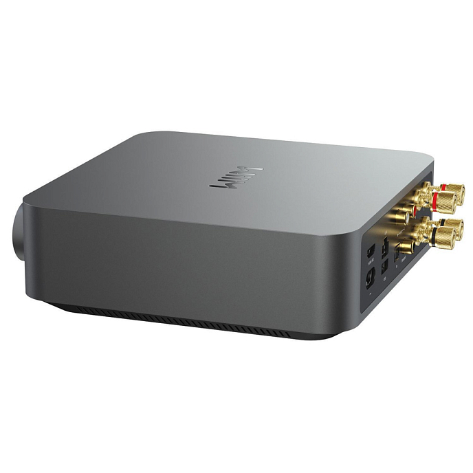 Интегральный усилитель WiiM AMP Space Gray - рис.4