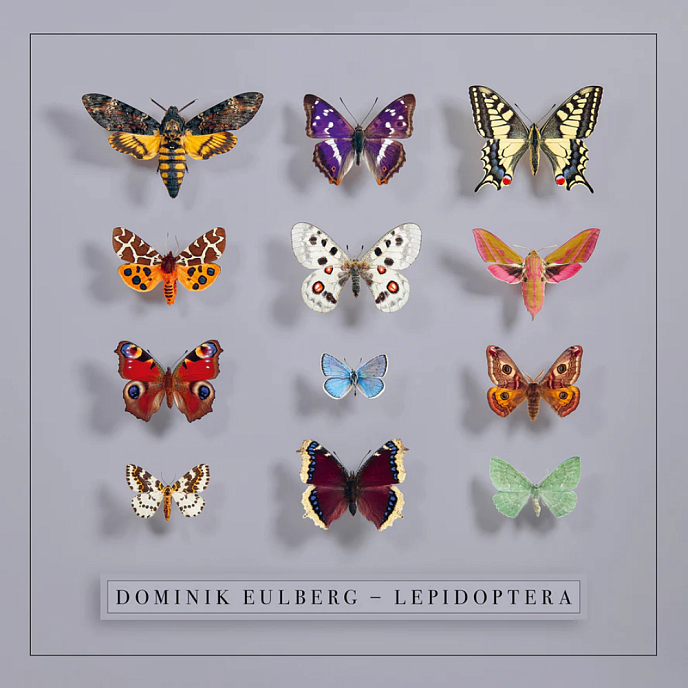 Виниловая пластинка Dominik Eulberg - Lepidoptera - 2LP - рис.0