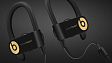 - рис.6 Беспроводные наушники Beats Powerbeats 3 Wireless Gold - рис.6