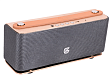 Портативная колонка GZ Electronics LoftSound GZ-44 Gold - рис.0