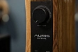 Комплект Dan Clark Audio Ether Flow Open + Auris Euterpe - рис.5